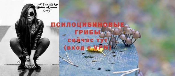 индика Сосновый Бор