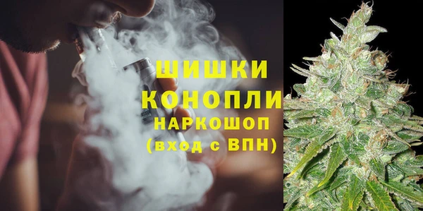 индика Сосновый Бор